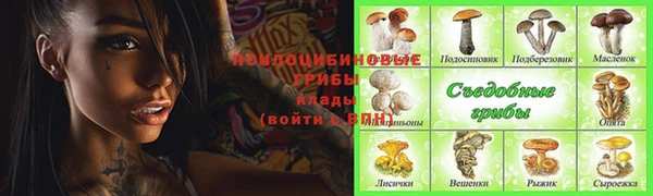 ALPHA-PVP Алексеевка