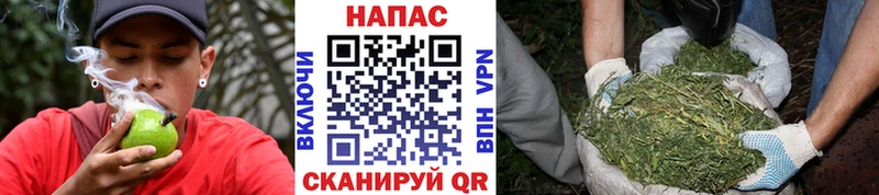 Конопля тримм  MEGA зеркало  Уяр  цена  
